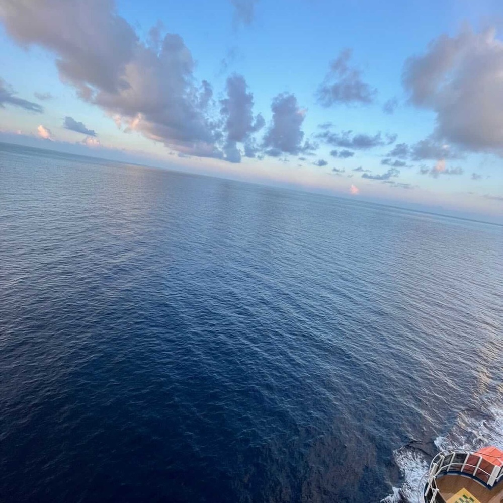 Meet your Posher, Joey